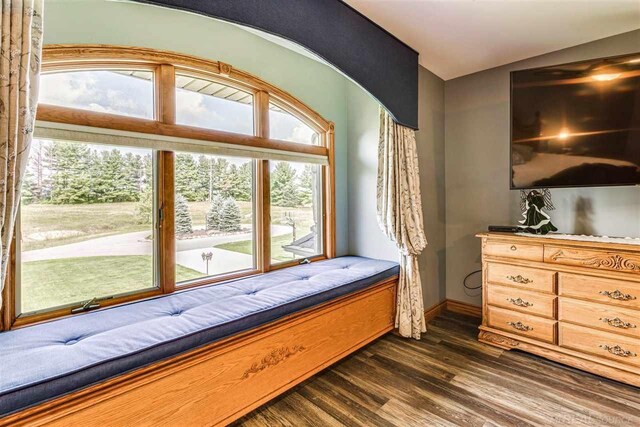 bedroom featuring dark hardwood / wood-style floors