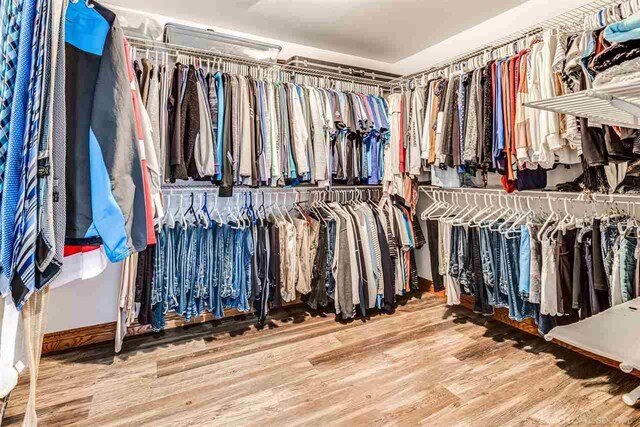 walk in closet featuring hardwood / wood-style flooring