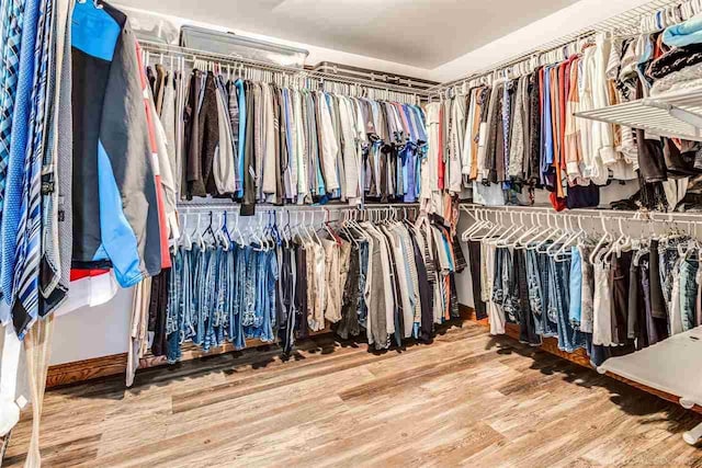 walk in closet with wood finished floors