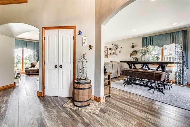 entrance foyer featuring dark hardwood / wood-style flooring