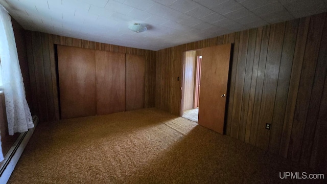 carpeted empty room with wooden walls