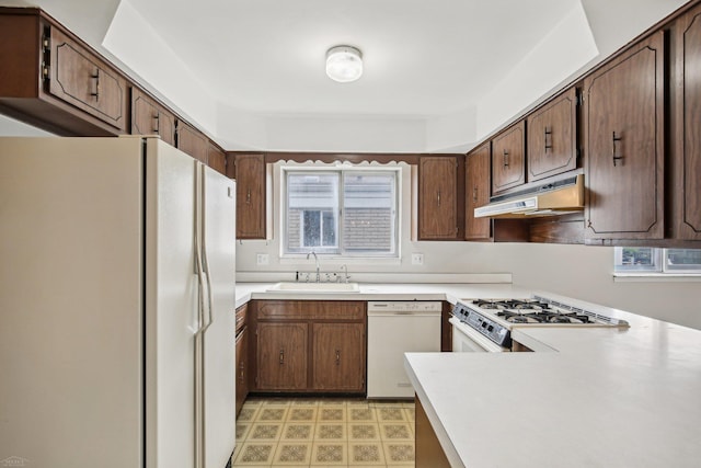 kitchen featuring dark brown cabinetry, white appliances, sink, and a wealth of natural light