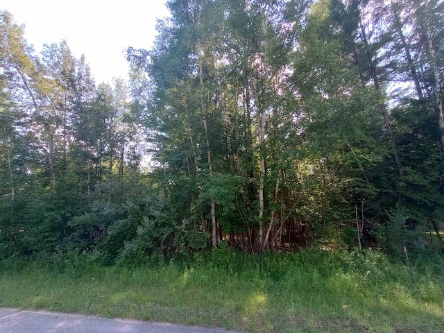 Listing photo 3 for LOT41 Sandbridge Ct, Gladwin MI 48624