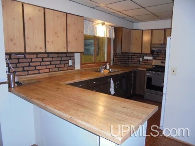 kitchen featuring stainless steel range, sink, tasteful backsplash, butcher block countertops, and kitchen peninsula