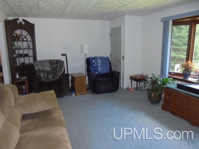 living room featuring carpet flooring