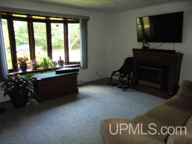 living room featuring carpet flooring