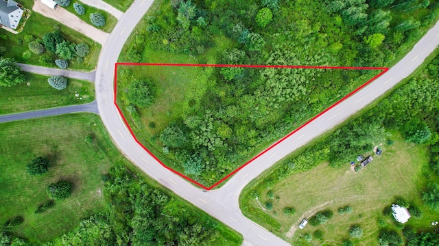 Listing photo 3 for LOT91 Salisbury Dr, Gladwin MI 48624