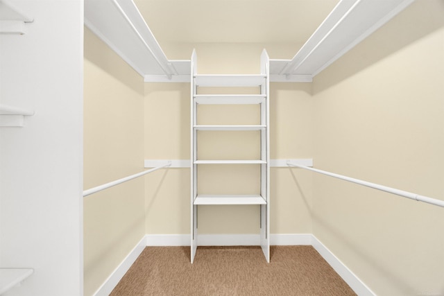 walk in closet featuring carpet floors