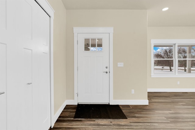 entryway featuring wood-type flooring