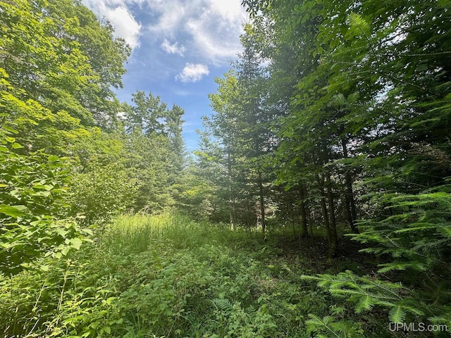 Listing photo 3 for TBD W Brule Lake Rd, Iron River MI 49935