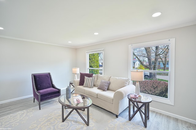 living room featuring crown molding and light wood-type flooring