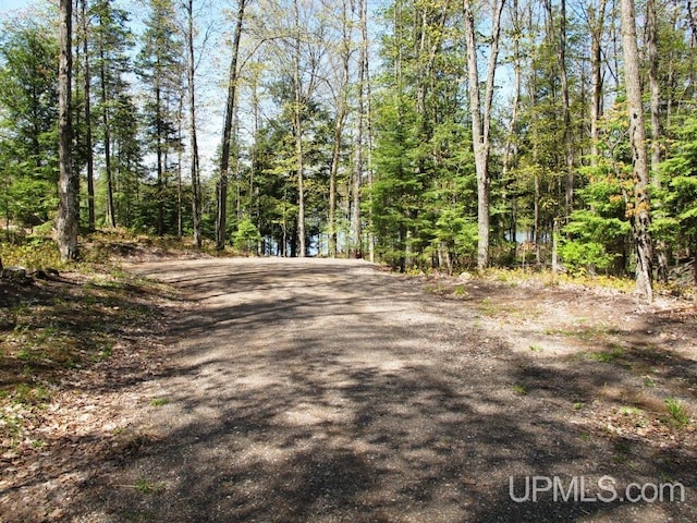 Listing photo 3 for TBD Stateline Trail, Marenisco MI 49947