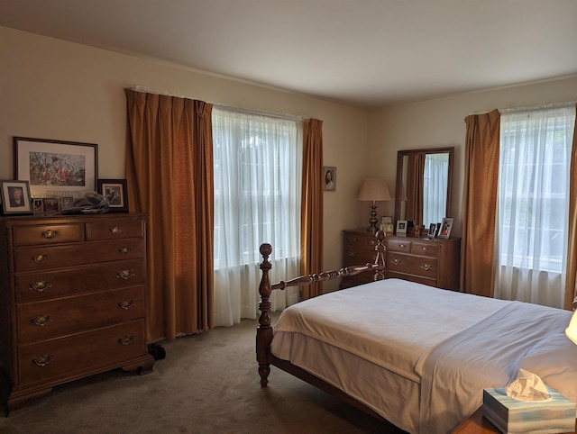 carpeted bedroom with multiple windows