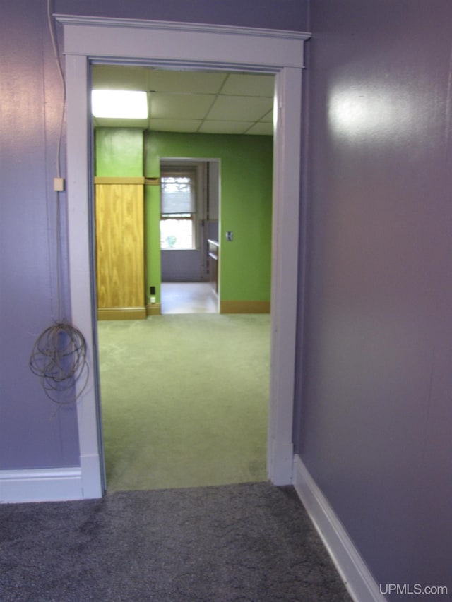 corridor with carpet floors, a drop ceiling, and baseboards