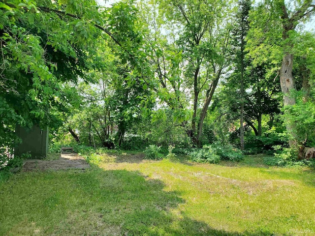 view of yard featuring a wooded view