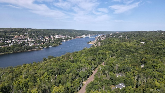 drone / aerial view featuring a view of trees and a water view