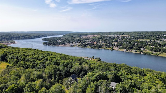 drone / aerial view with a water view and a wooded view