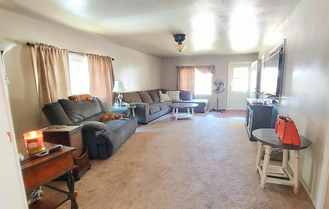 living room featuring carpet flooring