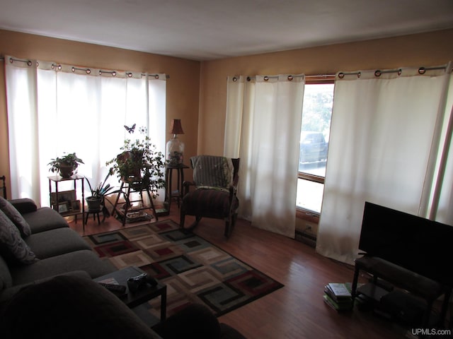 living area with wood finished floors