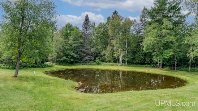 view of community with a water view and a lawn