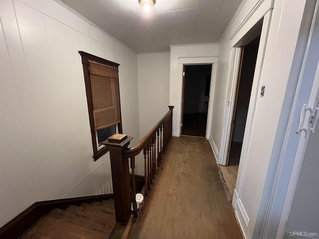 hallway featuring crown molding and hardwood / wood-style flooring