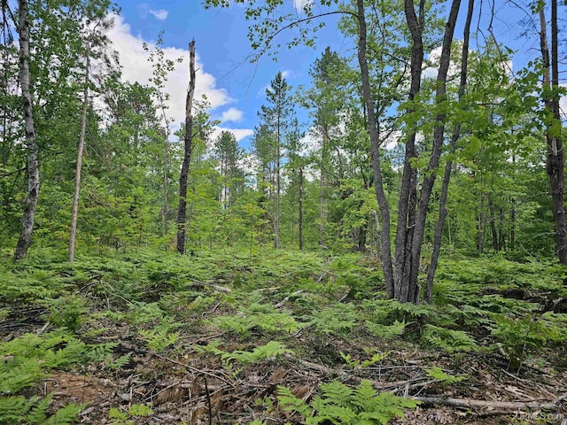 253 Beauyan Lake Rd, Little Lake MI, 49833 land for sale