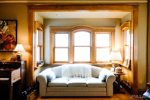 sitting room featuring a healthy amount of sunlight