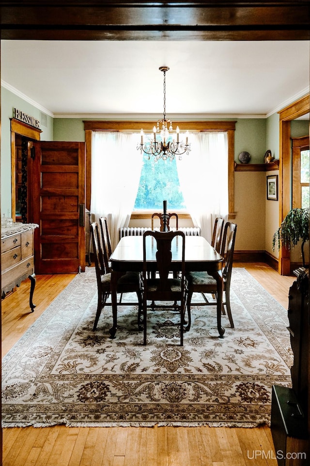 dining room with plenty of natural light, a chandelier, and light hardwood / wood-style flooring