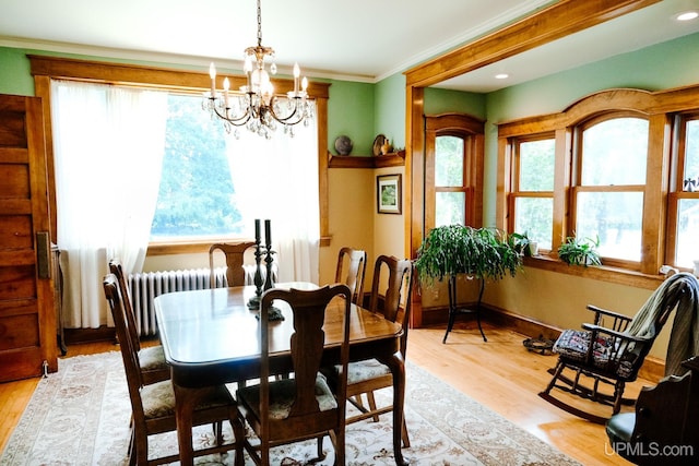 dining space featuring radiator heating unit, light hardwood / wood-style floors, and a healthy amount of sunlight