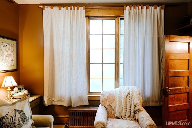 living area featuring radiator heating unit