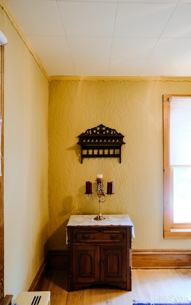 interior space with vanity, wood-type flooring, and wood walls