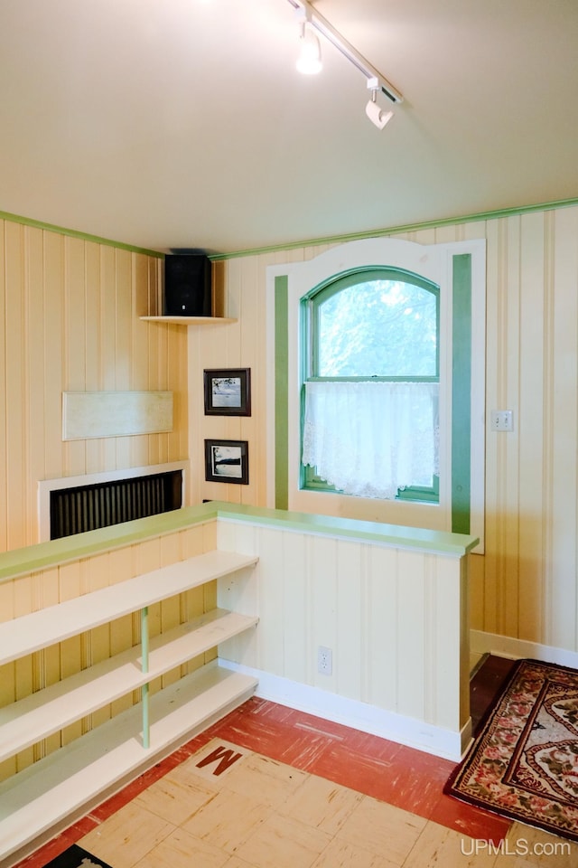 interior space featuring rail lighting, a fireplace, and wood walls