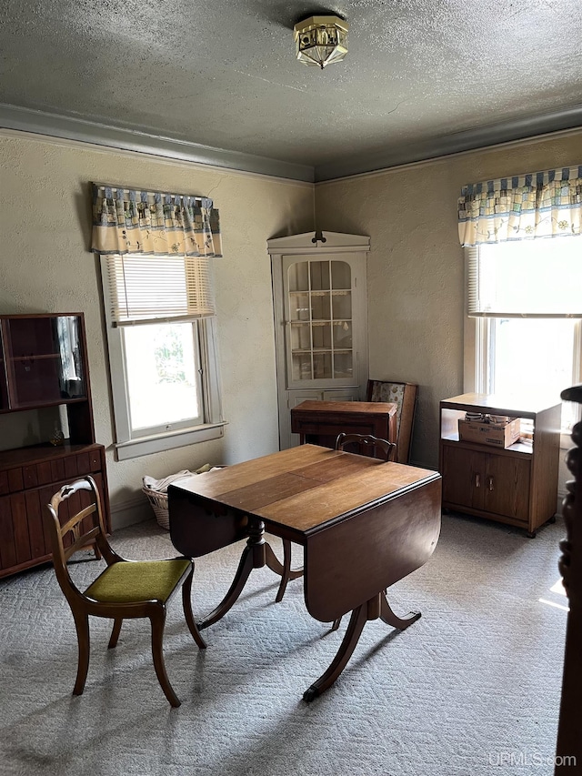 501 E N St, Ishpeming, MI 49849 - office area with plenty of natural light, a textured ceiling, carpet, a textured wall, and crown molding