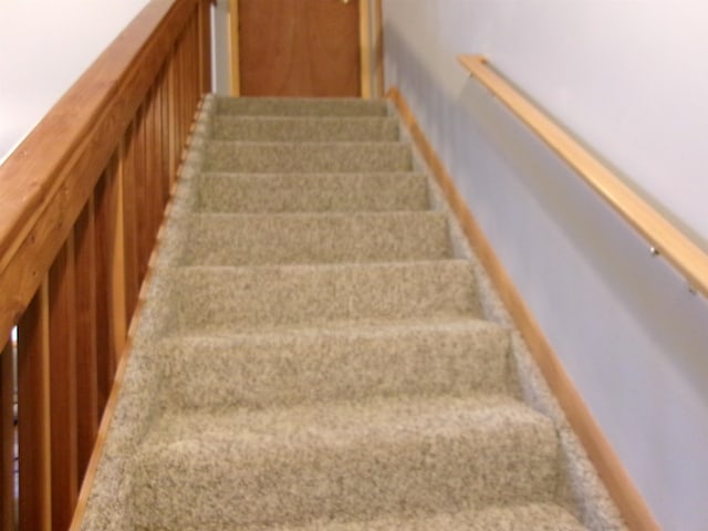 stairway with carpet