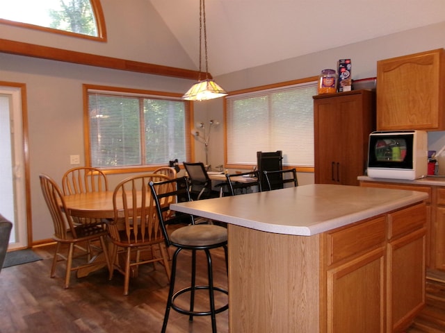 kitchen featuring pendant lighting, dark hardwood / wood-style flooring, and a center island