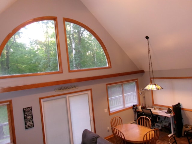 dining space featuring vaulted ceiling