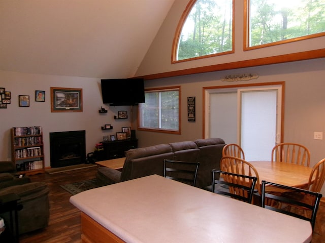 dining space with hardwood / wood-style flooring and high vaulted ceiling