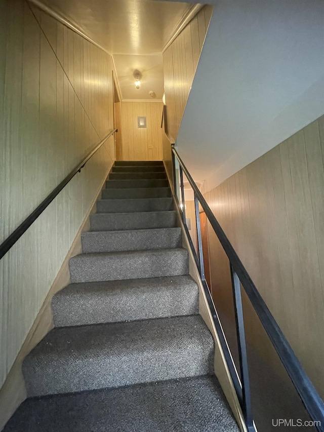 stairs featuring wood walls