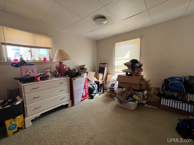 carpeted bedroom featuring a drop ceiling