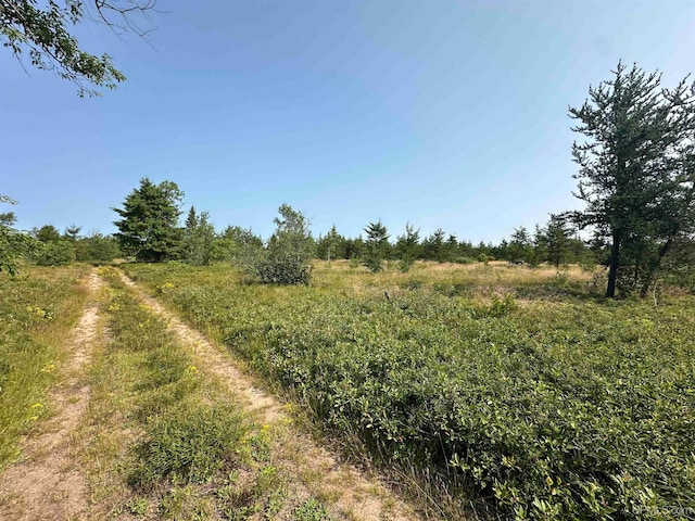 40ACRESOFF Station Rd, Gwinn MI, 49841 land for sale