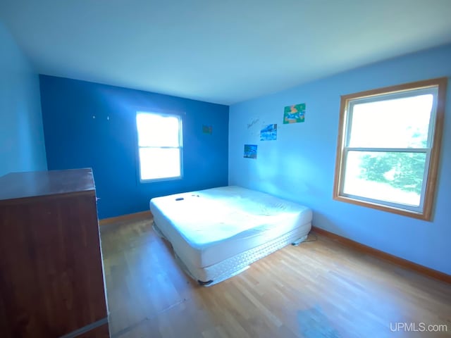 bedroom with multiple windows and hardwood / wood-style floors