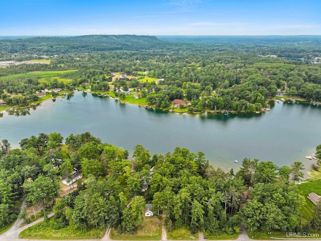 bird's eye view with a water view