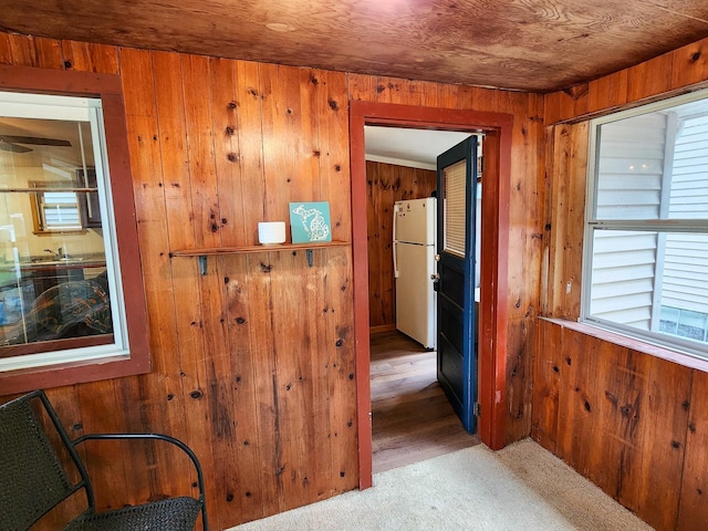 corridor with carpet floors and wood walls