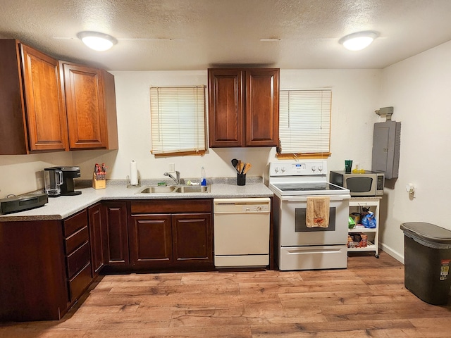 kitchen featuring light wood-type flooring, white appliances, sink, and a textured ceiling