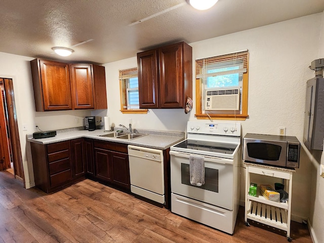 kitchen featuring wood finished floors, a textured ceiling, a sink, and white appliances