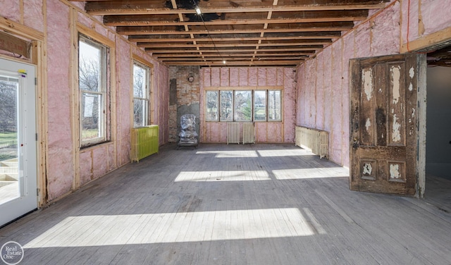 miscellaneous room with radiator, a healthy amount of sunlight, and wood-type flooring