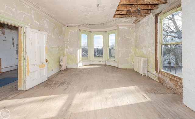 unfurnished room featuring radiator, light hardwood / wood-style flooring, and a wealth of natural light