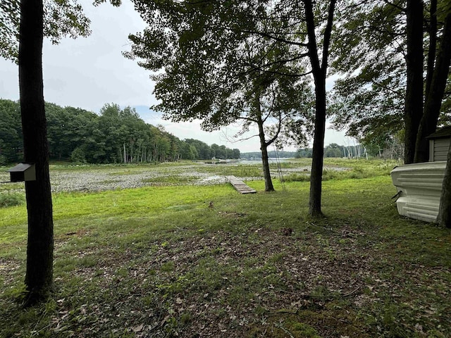 view of yard with a rural view