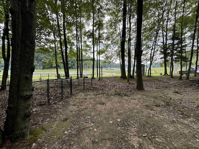 view of yard with a rural view