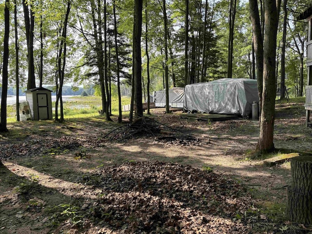 view of yard with a storage unit